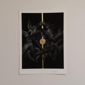 Te Rerenga Ake o Ngā Pekapeka