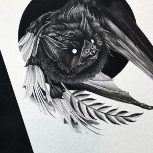Pekapeka Print